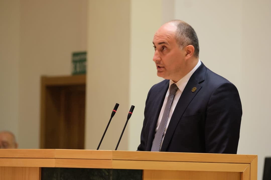 ჯუანშერ ბურჭულაძე – წლის ბოლომდე უკვე გამოვუშვებთ ქართული წარმოების უპილოტო საფრენ აპარატებს