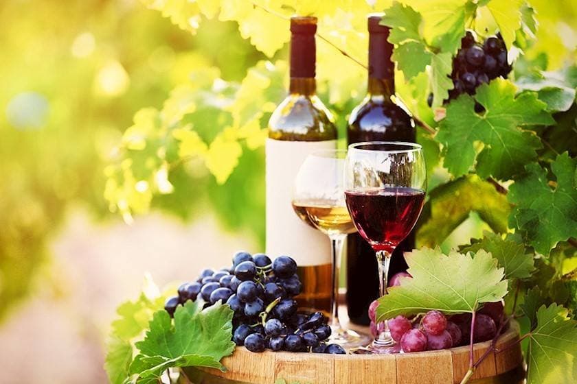 Georgian gov’t announces a week-long wine festival across country