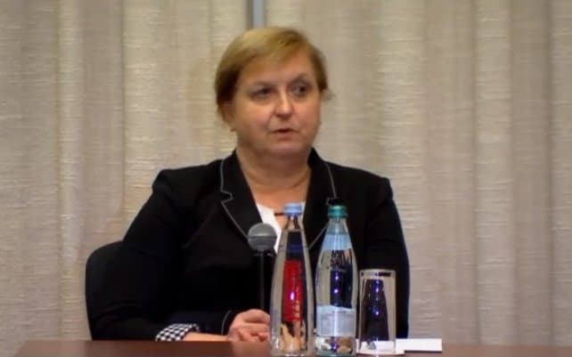 ანა ფოტიგა – ევროპის პარლამენტში ჩვენ შევაფასებთ აღნიშნულ სიტუაციას და ჩვენ ინფორმაციას ექნება განსაკუთრებული ღირებულება