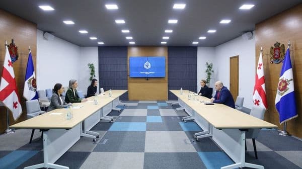 შს მინისტრის მოადგილე გაეროს პროექტების მომსახურების ოფისის ავსტრიის რეგიონული ოფისის დირექტორს შეხვდა