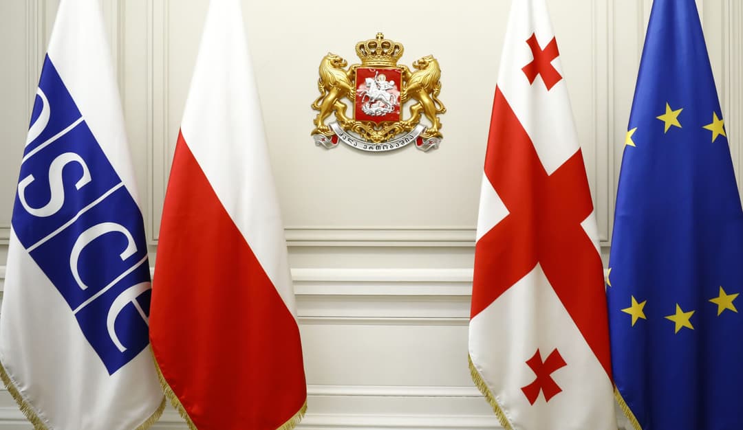 სალომე ზურაბიშვილი – პოლონეთის მიერ უკრაინის მხარდასაჭერად გადადგმული მნიშვნელოვანი ნაბიჯები აჩვენებს, რომ ის ევროკავშირის ერთ-ერთი ლიდერი ქვეყანაა