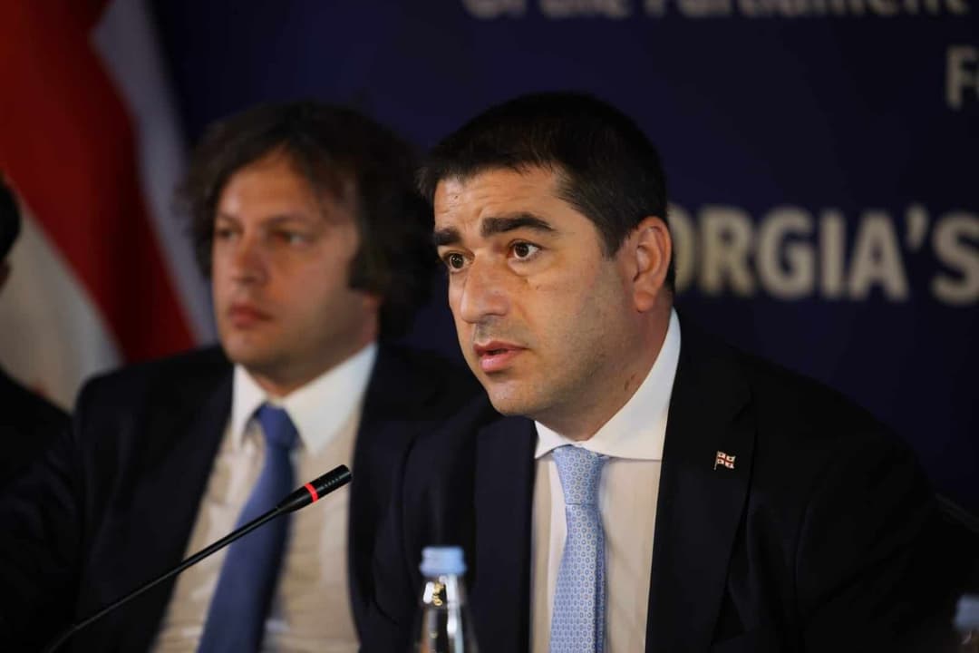 შალვა პაპუაშვილი – წარმატებული შეხვედრისთვის მადლობას ვუხდი სამოქალაქო პლატფორმას