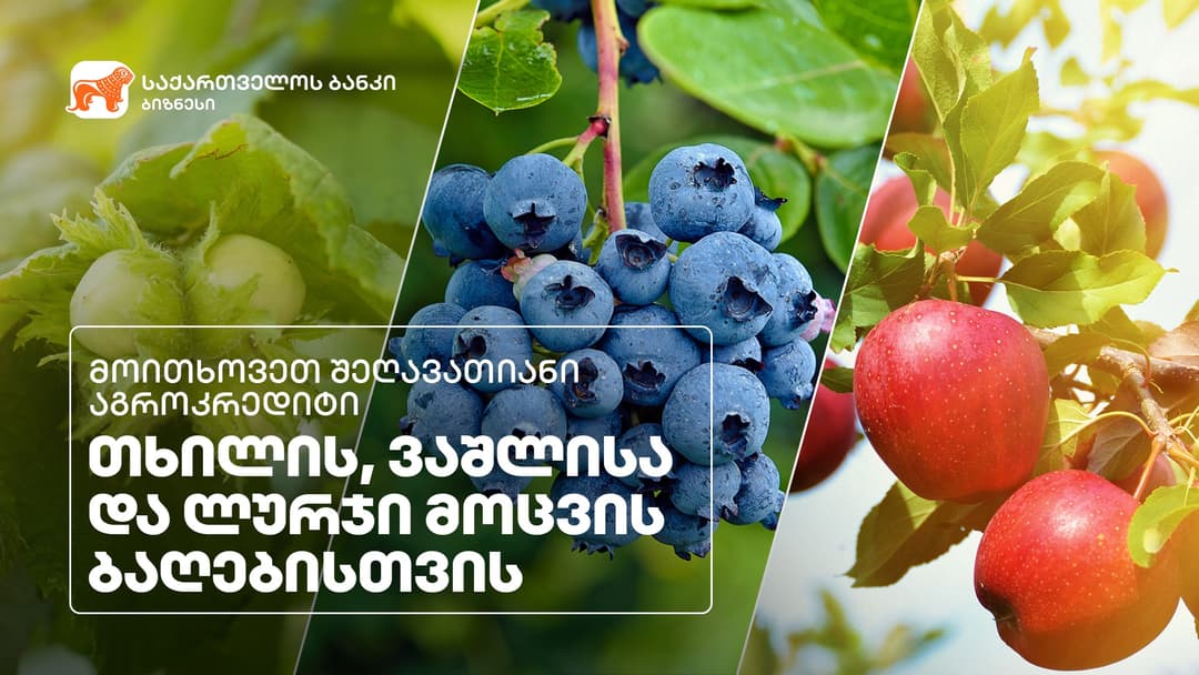 “საქართველოს ბანკმა” მრავალწლიანი კულტურების დასაფინანსებლად ახალი აგრო პროდუქტი შექმნა