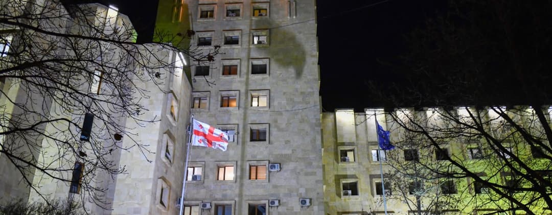 ოჯახის წევრის მიმართ ძალადობის და სქესობრივი კავშირის იძულების ფაქტზე ბრალდებულს პატიმრობა შეეფარდა