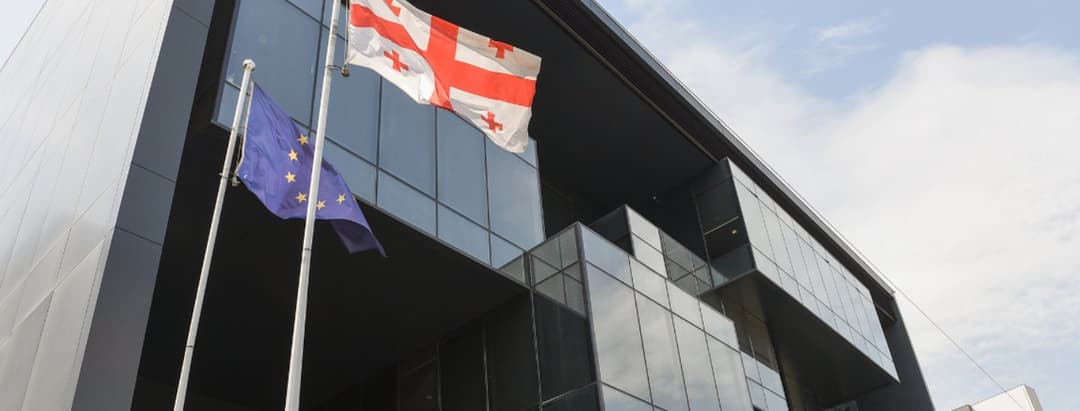 ორსული მეუღლის განსაკუთრებული სისასტიკით ჩადენილი განზრახ მკვლელობისთვის ბრალდებულს 20-წლიანი პატიმრობა მიესაჯა