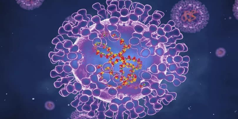 მაია ბუწაშვილი – სიმპტომები გავს ყვავილის სიმპტომებს, შედარებით მძიმედ მიმდინარეობს ბავშვებში, ორსულებში და იმუნოსუპრესირებულ პირებში