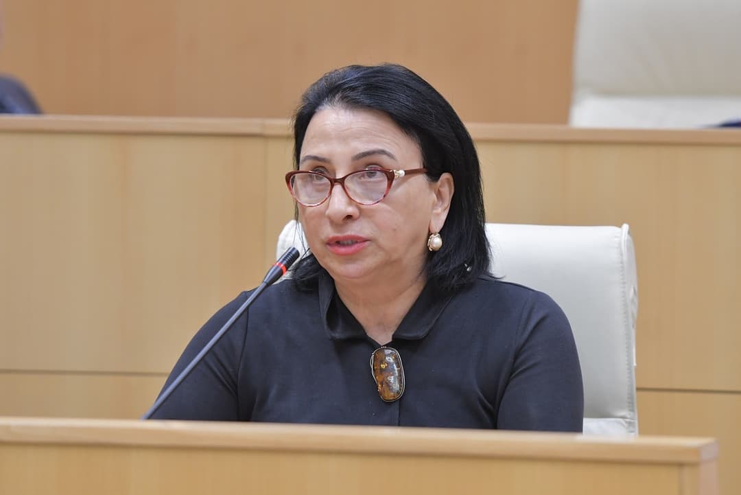 რიმა ბერაძე – ამ ახალგაზრდებს მინდა ვუთხრა, რომ ქვეყანას მართავს ეროვნული ხელისუფლება, რომლისთვისაც უმთავრესი საკუთარი ხალხის ინტერესია