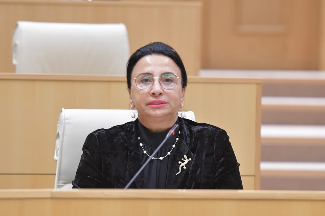 რიმა ბერაძე – როცა შენს ქვეყანაში მიმდინარე სასიკეთო ცვლილებები არ გახარებს, ამას სხვას ვერაფერს დავარქმევ, თუ არა ქვეყნის მტრობას