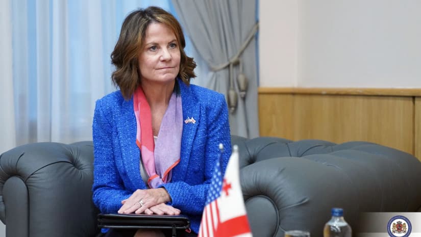 დანიგანი – ვმუშაობთ საარჩევნო კომისიასთან, მთავრობასთან, სამოქალაქო საზოგადოებასთან, პარტიებთან, რომ არჩევნები იყოს თავისუფალი და სამართლიანი