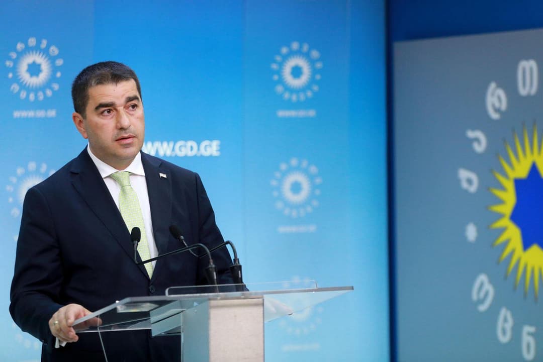 Georgia should not have to “plead for” EU candidate status – Papuashvili