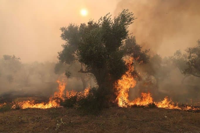 საბერძნეთში ხანძრის შედეგად 18 დამწვარი ცხედარი იპოვეს