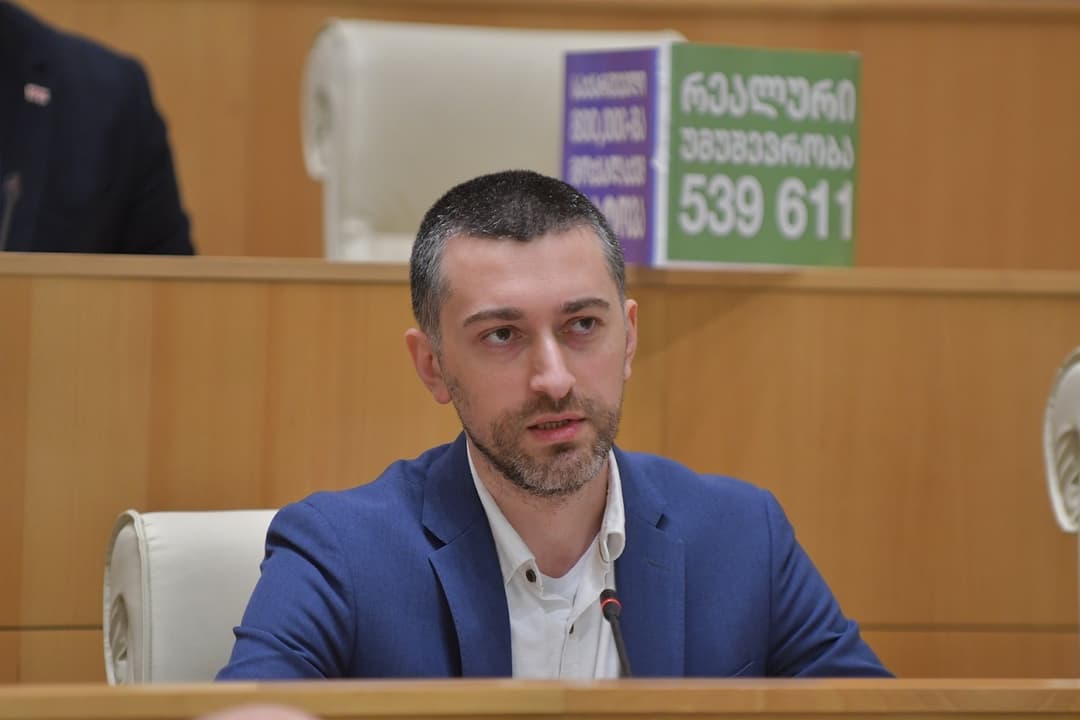 ჰერმან საბო – “ვეტინგის“ შემოღება სისტემურ ცვლილებას ვერ მოიტანს