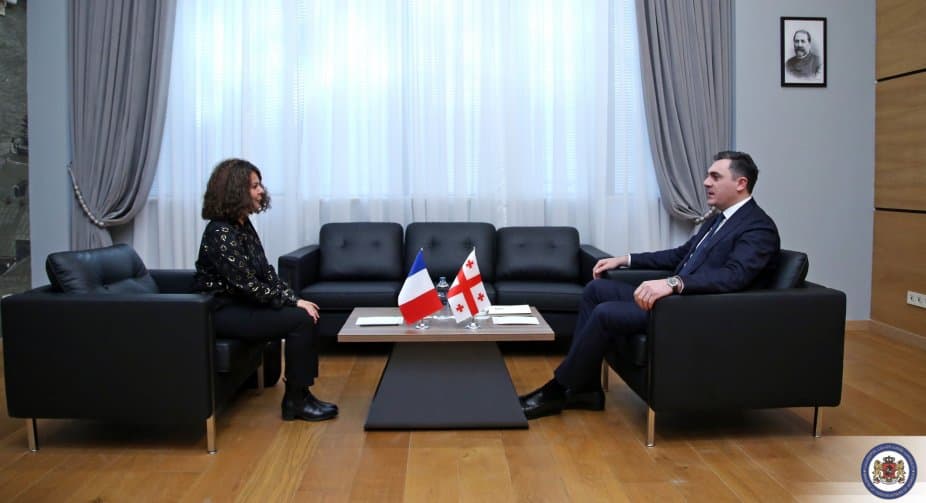 Georgian FM meets new French ambassador