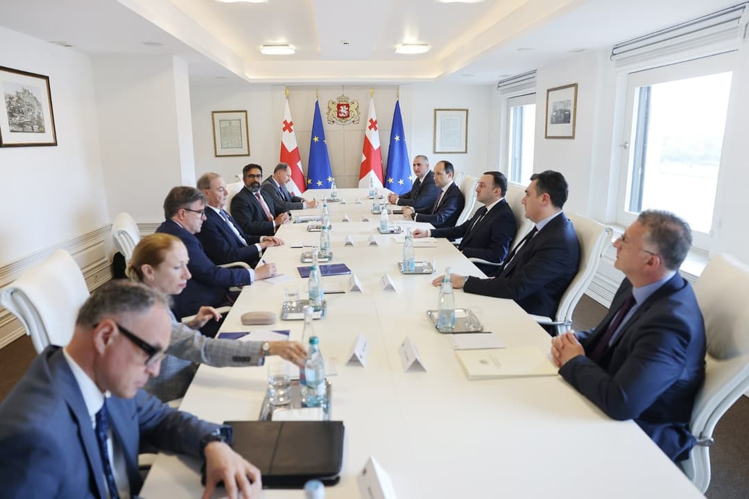 ირაკლი ღარიბაშვილი დევიდ ო’სალივანს, ჯეიმს ო’ბრაიენს და კუმარ იერს შეხვდა