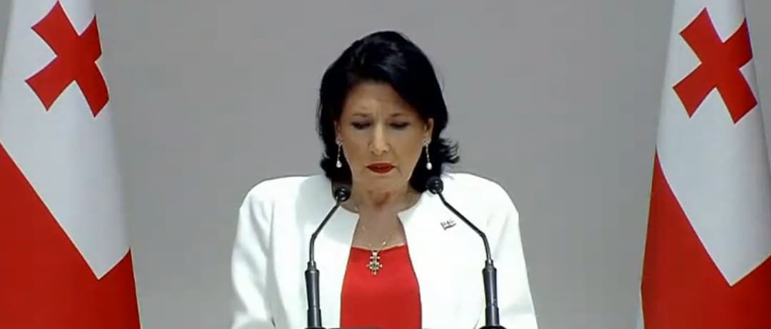 სალომე ზურაბიშვილი – ვისურვებდი, ჩვენი საზოგადოება დარწმუნებული იყოს, რომ ვისაც ამის პასუხისმგებლობა გააჩნია, ის მართლაც იცავს საკუთარ მოქალაქეებს, აძლიერებს ქვეყანას