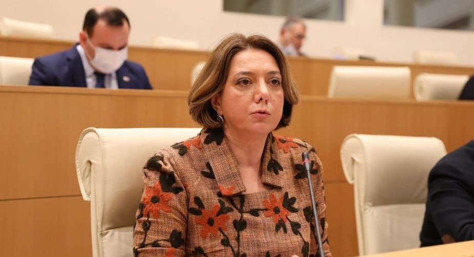 სალომე სამადაშვილი – მინისტრისგან, რომელმაც ჟურნალისტს მიკროფონი გამოგლიჯა, ალბათ, არც ის გაგვიკვირდება, კალმები აეცალა მწერლებისთვის