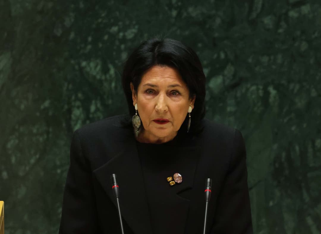 President labels Ivanishvili as “genuine ruler”, initiates creation of European platform at her office