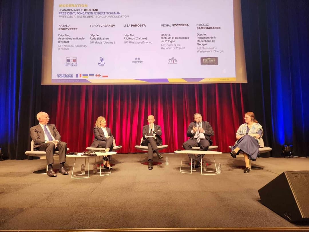 ნიკოლოზ სამხარაძე – ჩვენ გვჭირდება, დასავლეთის ძლიერი ლიდერობა, რომელიც მკვეთრ და გაბედულ გადაწყვეტილებებს მიიღებს