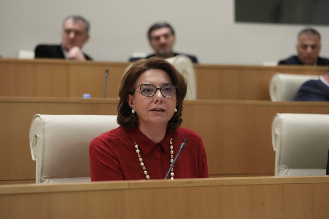 სალომე სამადაშვილი – ორი დღის მსჯელობა და ხელისუფლების გამოკლებით მთელი ქვეყნის თავდადება ევროპული მომავლისთვის, სავარაუდოდ, სრულდება პოზიტიური სიგნალით