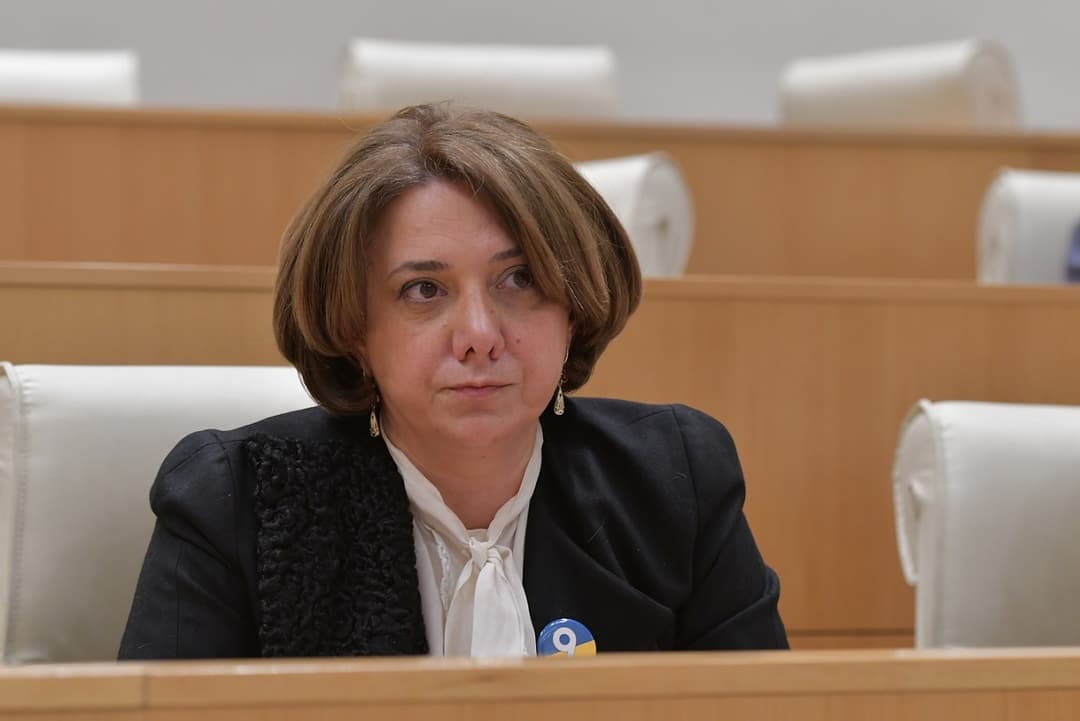 სალომე სამადაშვილი – მინისტრის დღევანდელი მოსმენის შემდეგ მე, როგორც რიგით მოქალაქე, შევშფოთდი ჩვენი თანამოქალაქეების უსაფრთხოების საკითხით