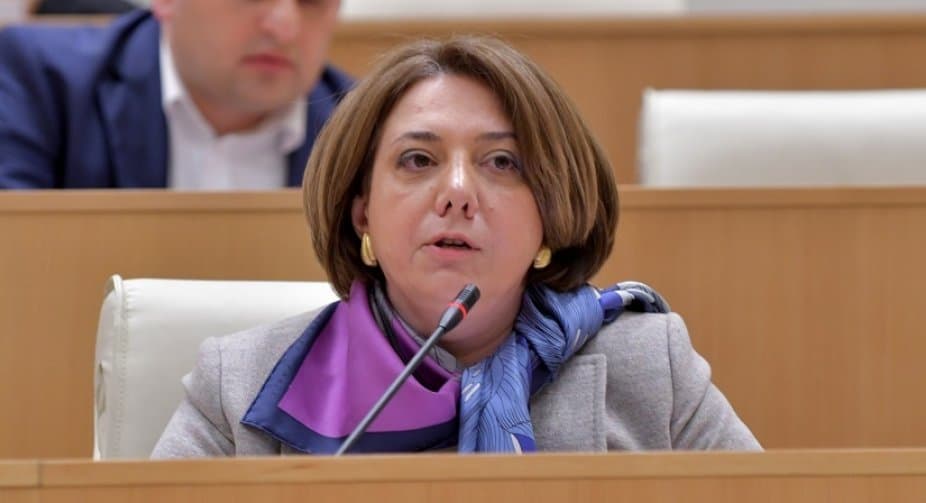 სალომე სამადაშვილი – ღარიბაშვილი თუ გადაწყვეტს, რომ საქართველოს კონსტიტუცია ღიად და აშკარად დაარღვიოს, ამას ექნება შესაბამისი შედეგი