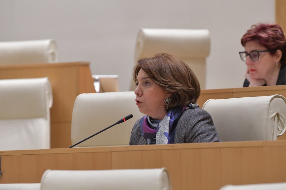 სალომე სამადაშვილი – ამ ქვეყანაში ახლა სახელმწიფო ღალატი მიმდინარეობს, რომელსაც პარლამენტში აფორმებს რუსული უმრავლესობა