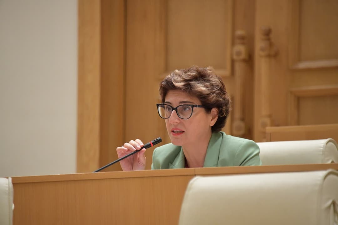 ხათუნა სამნიძე – “ქართული ოცნება“ არც კი არსებობდა, როდესაც ეს ქვეყანა ევროკავშირის სტატუსს იმსახურებდა