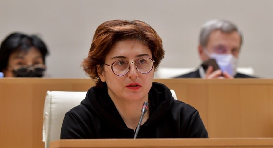 ხათუნა სამნიძე – თქვენ ხართ ამ ქვეყნის მტრები, ამ ქვეყნის პუტინის და რუსეთის გზაზე დამყენებლები