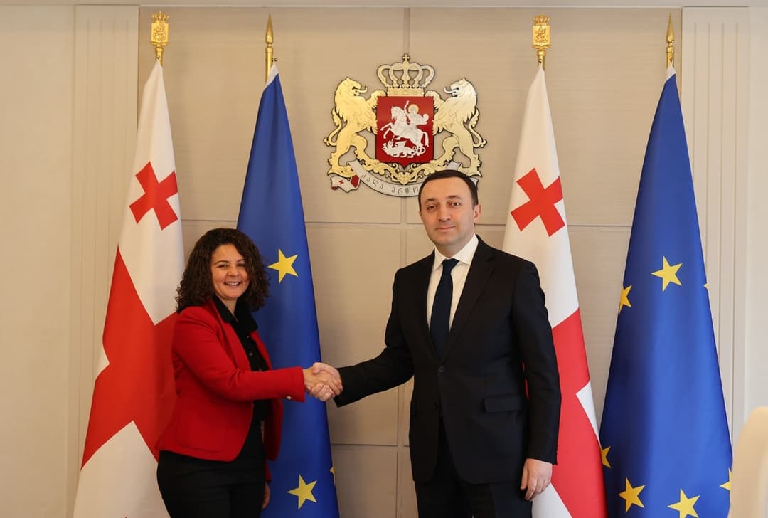 Georgian PM meets new French ambassador