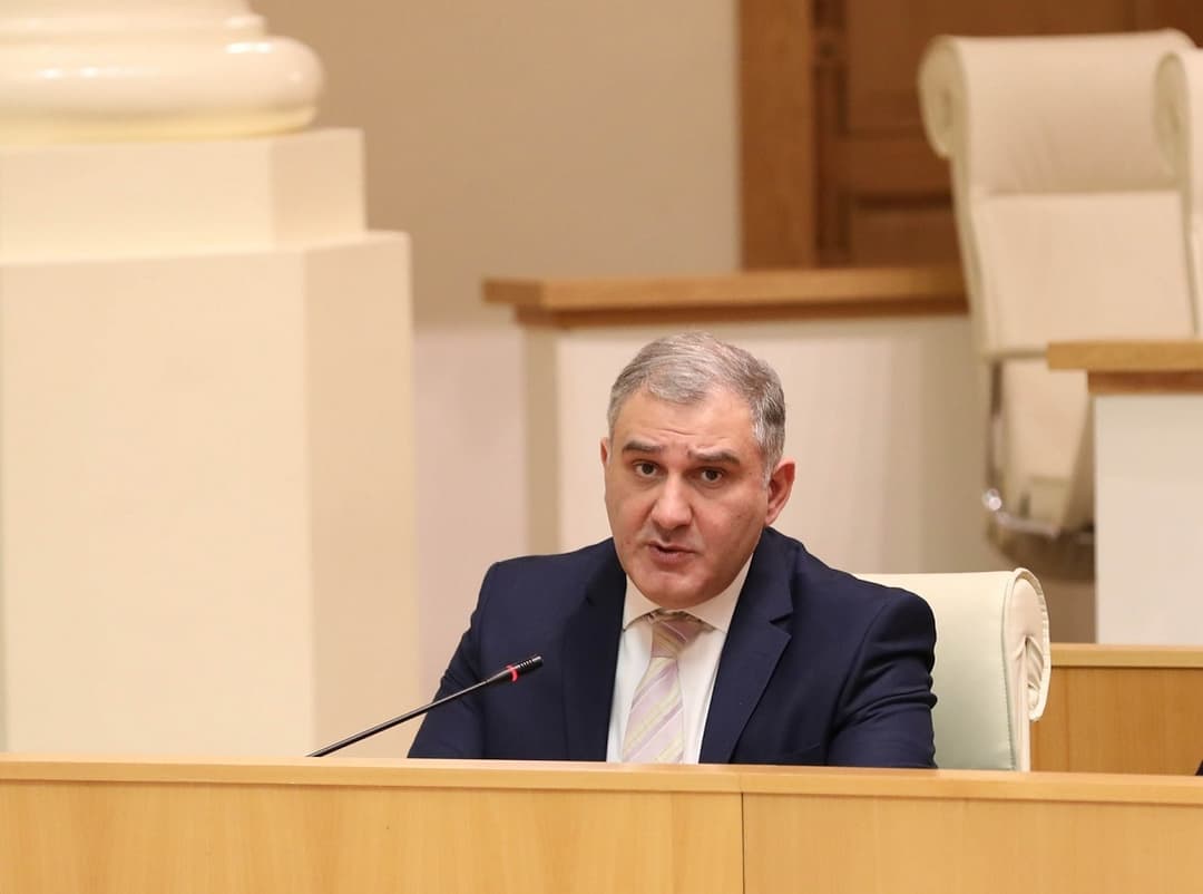 მიხეილ სარჯველაძე – ე.წ. მდიდარმა არასამთავრობო ორგანიზაციებმა წაშალეს ყოველგვარი ზღვარი პოლიტიკურ ორგანიზაციასა და არასამთავრობო ორგანიზაციას შორის