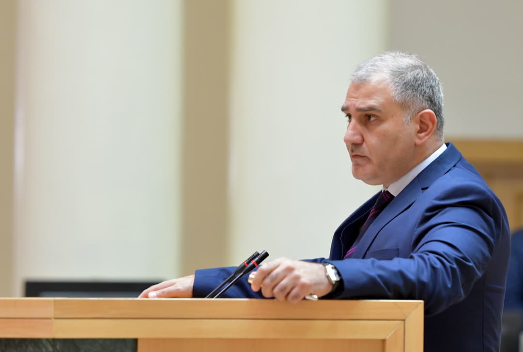 მიხეილ სარჯველაძე – ზურაბიშვილის განცხადება სულ მცირე უტაქტო და არაკორექტულია