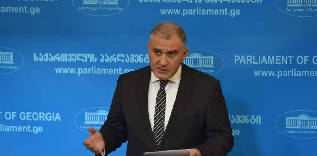 მიხეილ სარჯველაძე – ზურაბიშვილმაც გადასარევად იცის, რომ ფაშინიანის ვიზიტთან არაფერ შუაში იყო