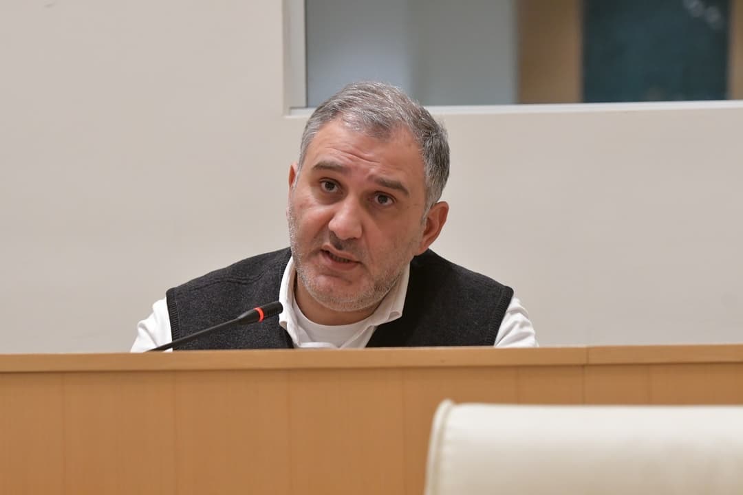 მიხეილ სარჯველაძე – ყველა, ვინც დღეს საქართველოს მოუწოდებს, პირდაპირ თუ ირიბად, ომში ჩაერთოს, არის საქართველოს მტერი