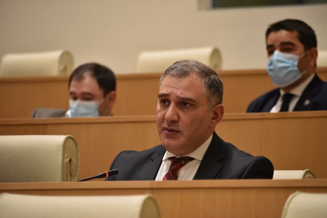 მიხეილ სარჯველაძე – ქართველი ხალხი მადლიერია ამ დახმარებისთვის, მაგრამ ეს არ ნიშნავს იმას, რომ საქართველოში არ არსებობდეს საფუძველი “ფარას” მსგავსი ინსტრუმენტის გამოყენებისა