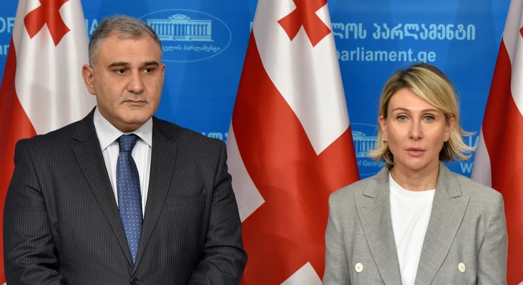 ნინო წილოსანი – საქართველომ უნდა მოახდინოს ქალთა მიმართ ძალადობის წინააღმდეგ ბრძოლის ძალისხმევის განსაკუთრებული კონსოლიდაცია