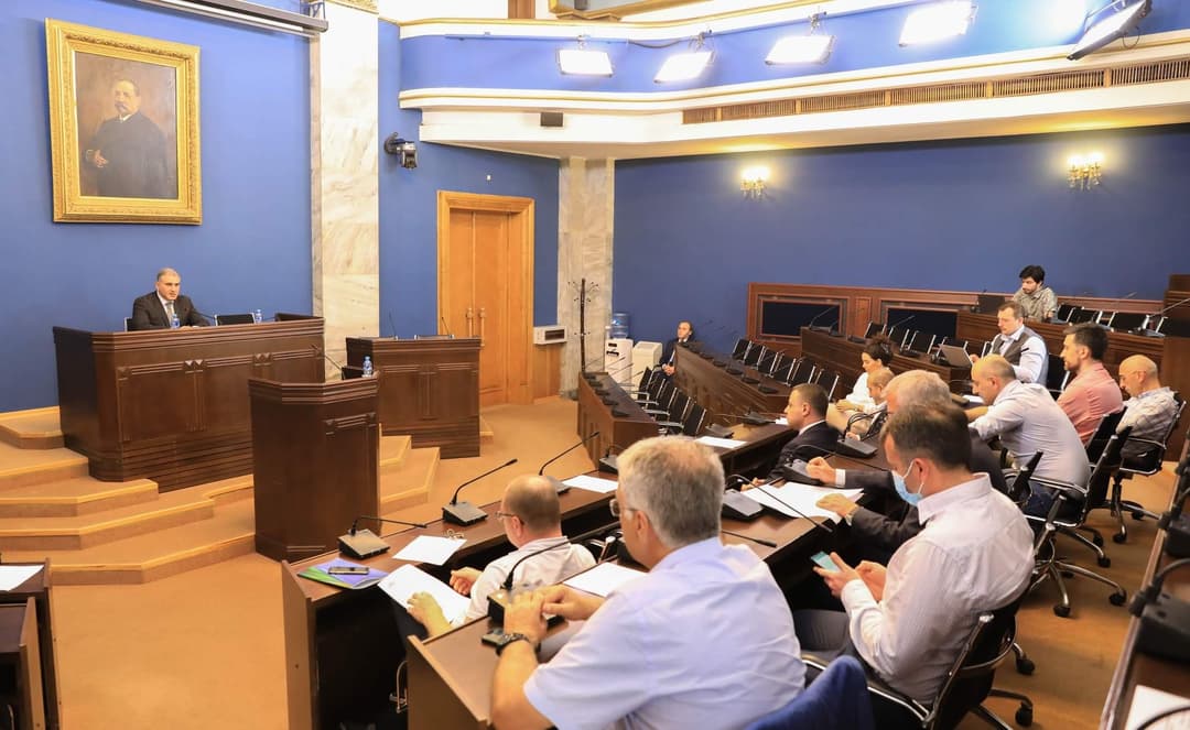 ადამიანის უფლებათა დაცვისა და სამოქალაქო ინტეგრაციის კომიტეტში სამუშაო ჯგუფები შეიქმნა