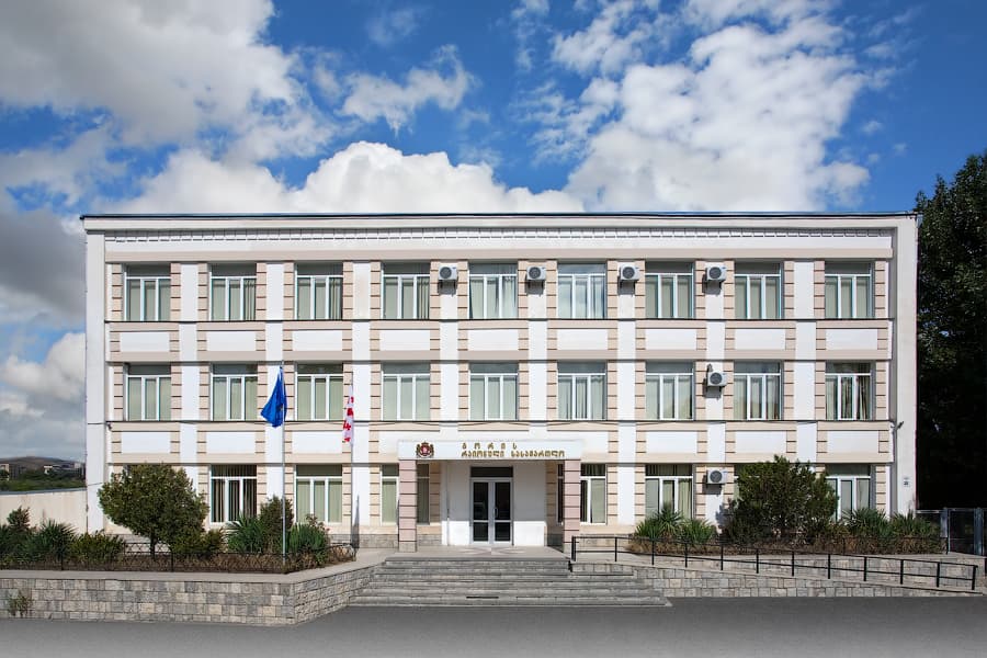 33 წლის მამაკაცის მკვლელობის საქმეზე დაკავებულ 70 წლამდე ქალს წინასწარი პატიმრობა შეეფარდა