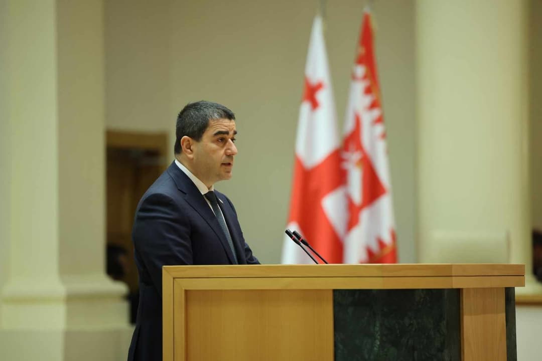 Georgian Parliament Speaker calls German politician Michael Roth “thoughtless”