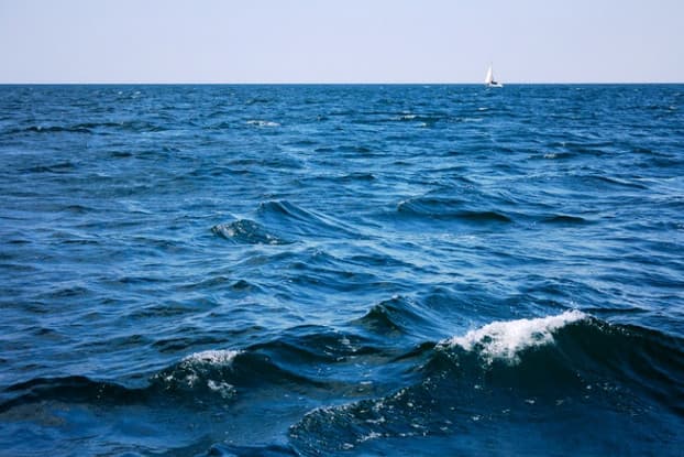Environmental agency claims Black Sea water “within the norms”