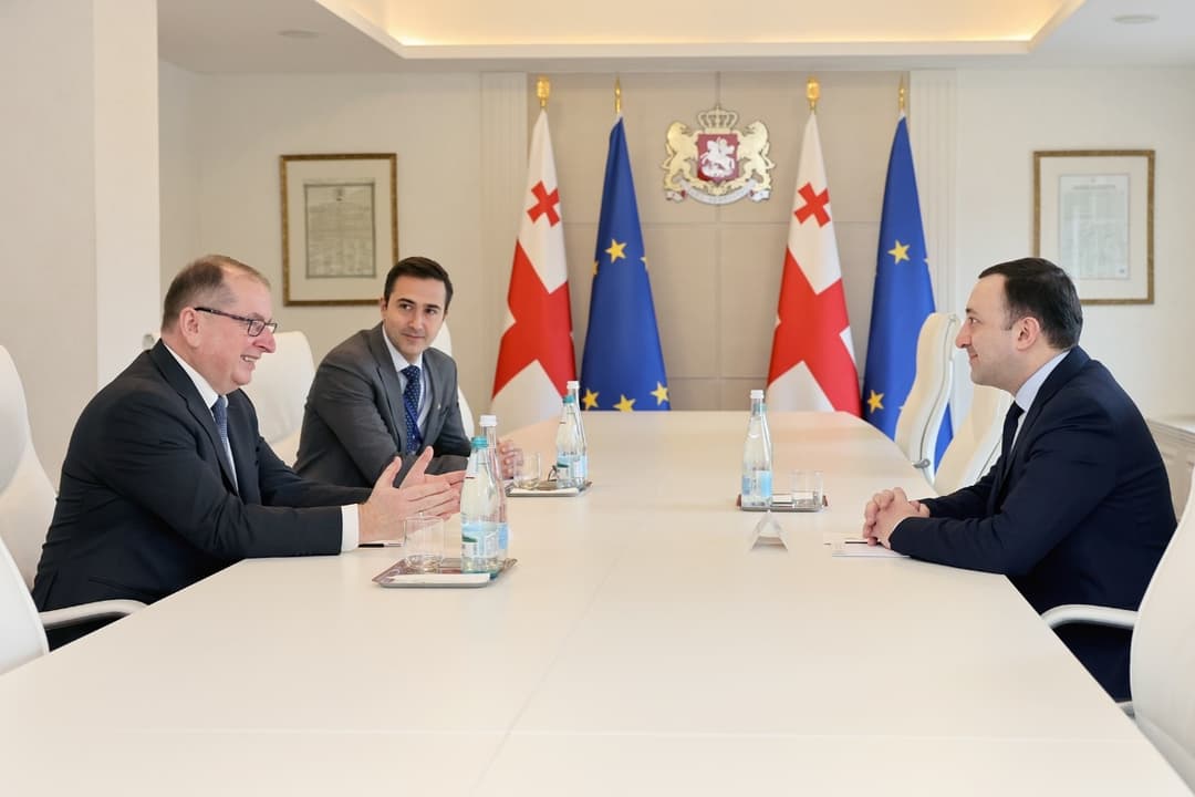 Georgian PM holds farewell meeting with EUMM mission head