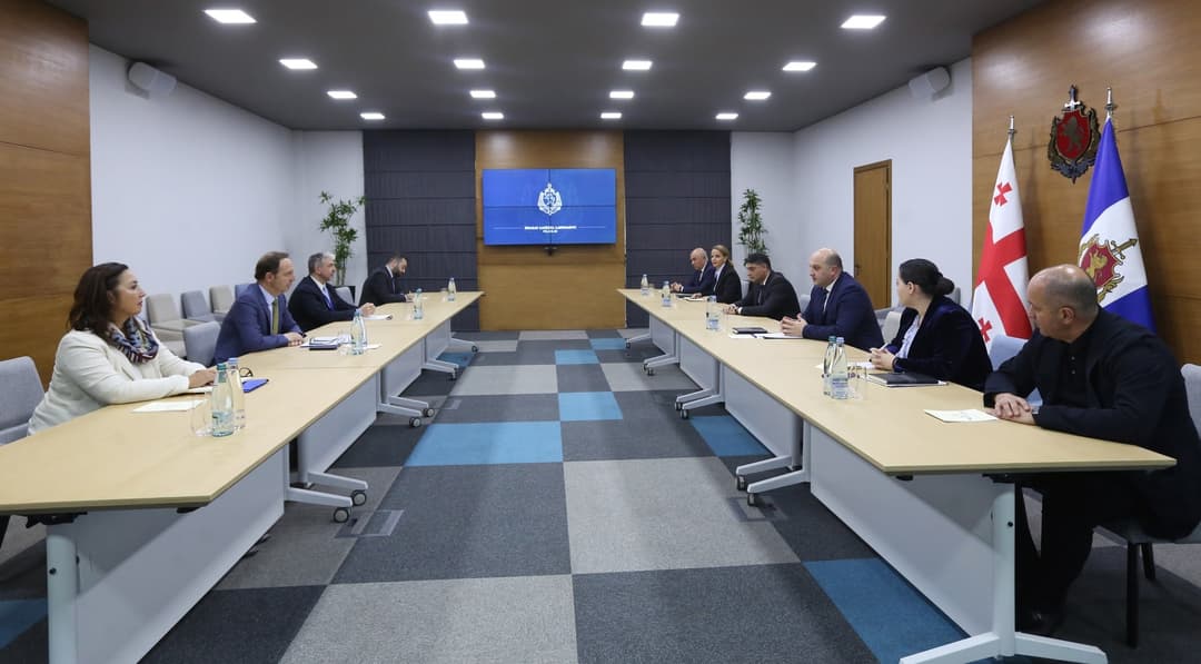 შსს-ს მოადგილე მიგრაციის საერთაშორისო ორგანიზაციის რეგიონალურ დირექტორს შეხვდა