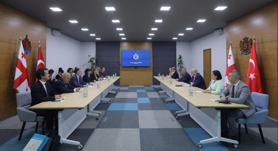 საქართველოს შინაგან საქმეთა მინისტრის მოადგილე თურქეთის რესპუბლიკის მთავარ ომბუდსმენს შეხვდა