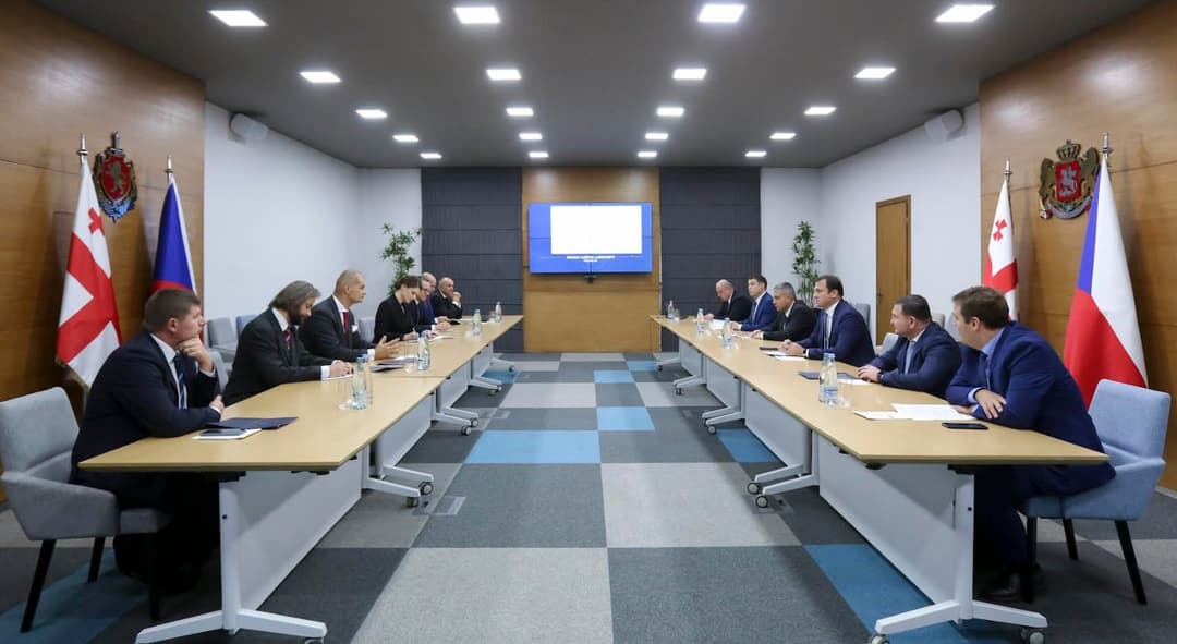 შსს-ს ჩეხეთის ეროვნული პოლიციის ორგანიზებულ დანაშაულთან ბრძოლის სააგენტოს დელეგაცია ეწვია