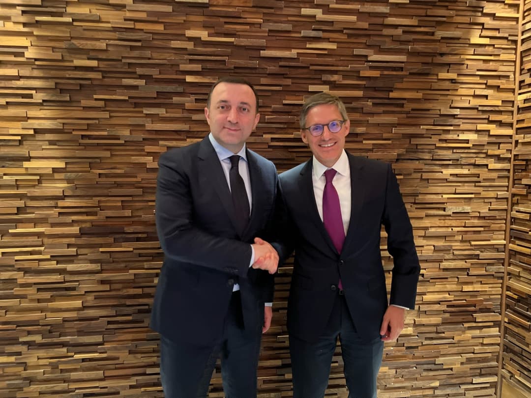 ირაკლი ღარიბაშვილი – ორმხრივი დღის წესრიგის აქტუალურ საკითხებზე სასაუბროდ დერეკ შოლეს შევხვდი