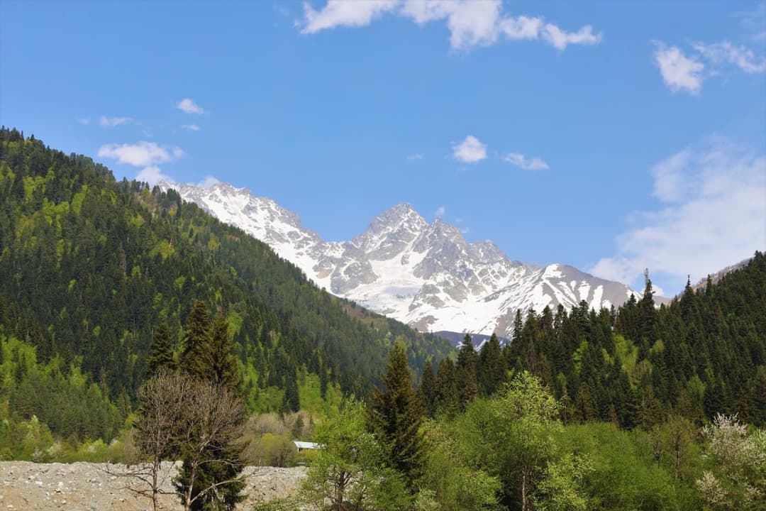 შოვში დაღუპულთა პატივსაცემად მემორიალის აღმართვასთან დაკავშირებით კონკურსი გამოცხადდა
