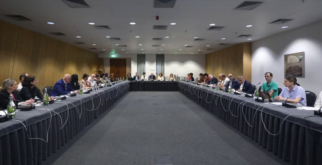 შს მინისტრის მოადგილემ შშმ პირთა უფლებების დაცვის 2023 წლის სამოქმედო გეგმასთან დაკავშირებით გამართულ შეხვედრაში მიიღო მონაწილეობა