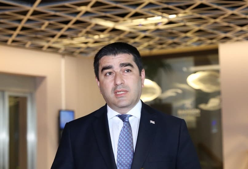 შალვა პაპუაშვილი – შვედეთის სამეფოს მხრიდან გვაქვს საქართველოს ევროპული მისწრაფებების მხარდაჭერა