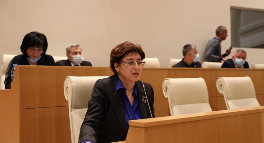 ხათუნა სამნიძე – ვინც მიიჩნევს, რომ მთელი ოპოზიციის დღის წესრიგი უნდა იყოს მხოლოდ მიხეილ სააკაშვილის გათავისუფლების საკითხი, ნებსით თუ უნებლიეთ, ზიანს აყენებს ქვეყანას