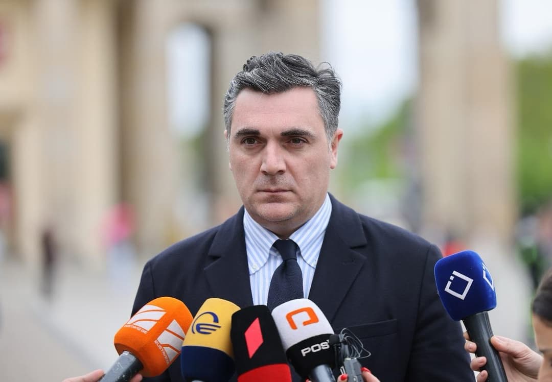 European Parliament elections successfully held, Georgian Foreign Minister