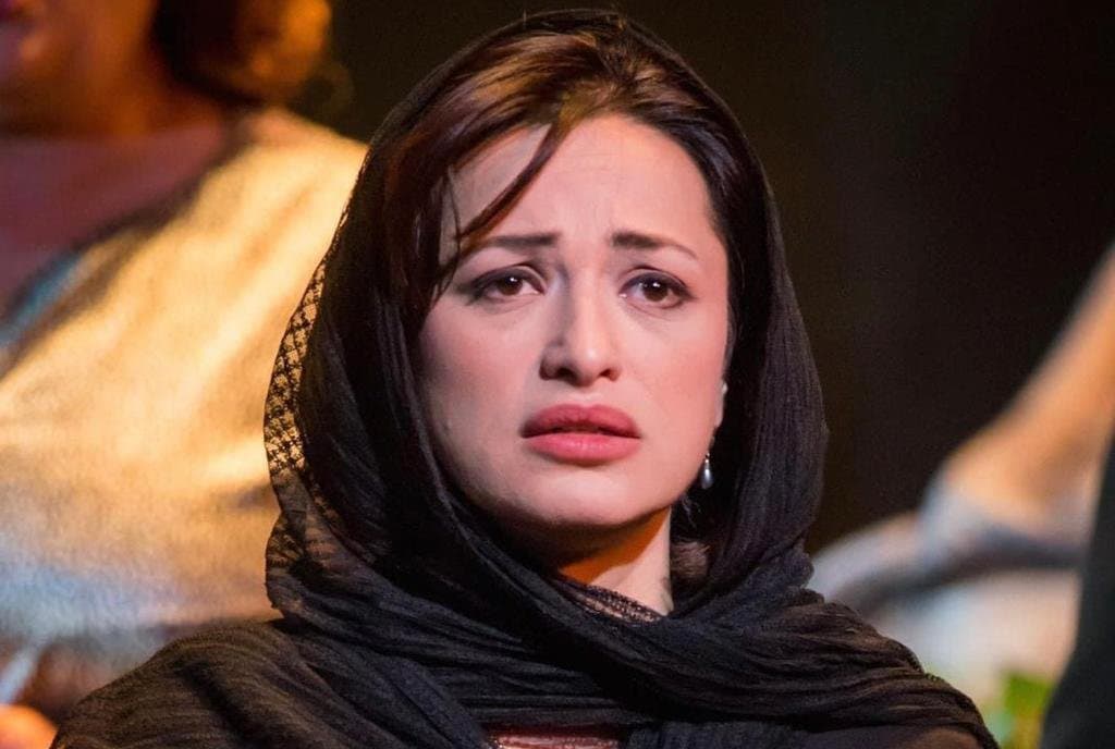 ნინო სურგულაძე – ჩემი ფიქრები იქ არის, ალში გახვეულ ქალაქებში, გაუძელი ჩემო უკრაინა, სიმართლე შენია და შენი დამარცხება შეუძლებელია!